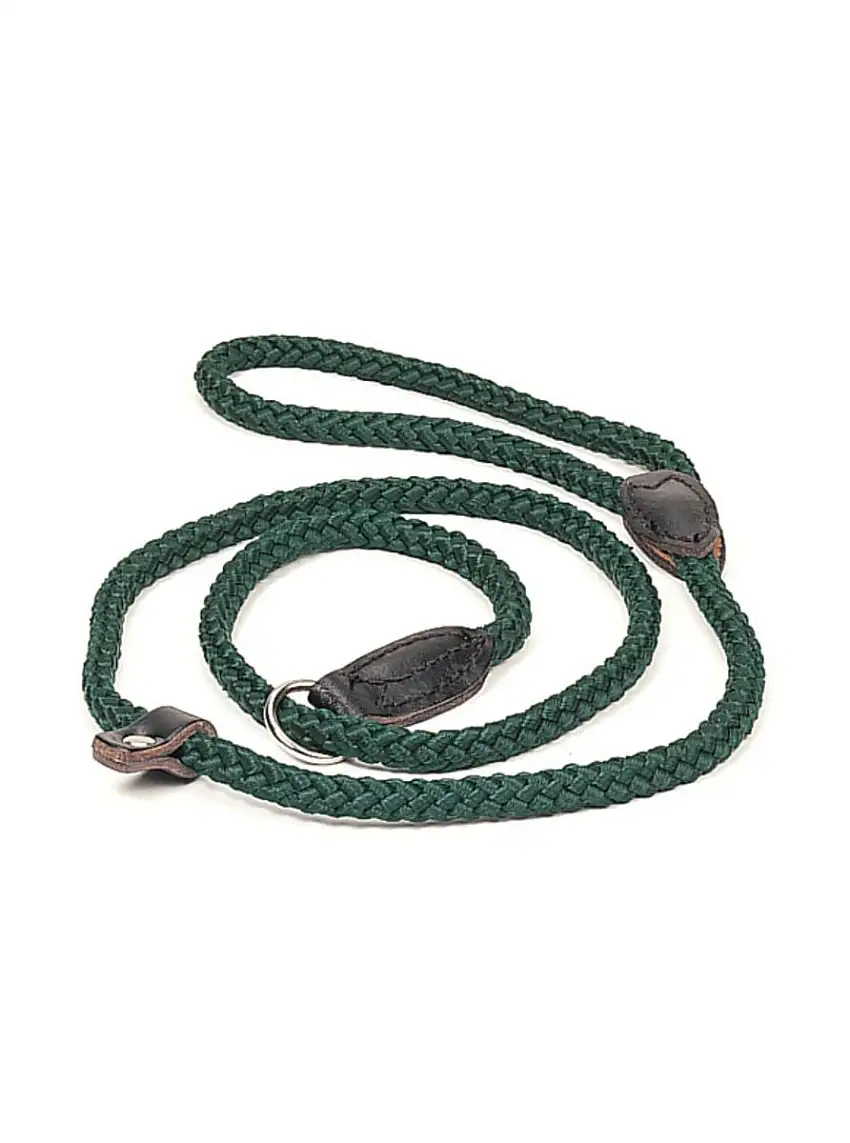 Napier Dog Lead Field Trial (Green)