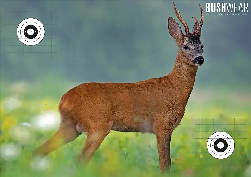 BushWear 4 Pk Double Sided Roe Target